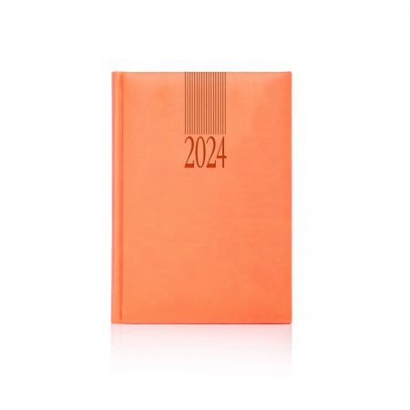 2024 Tucson Diary