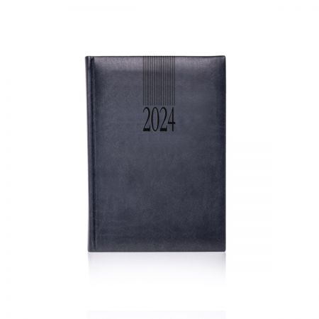 2024 Tucson Diary Cream Pages